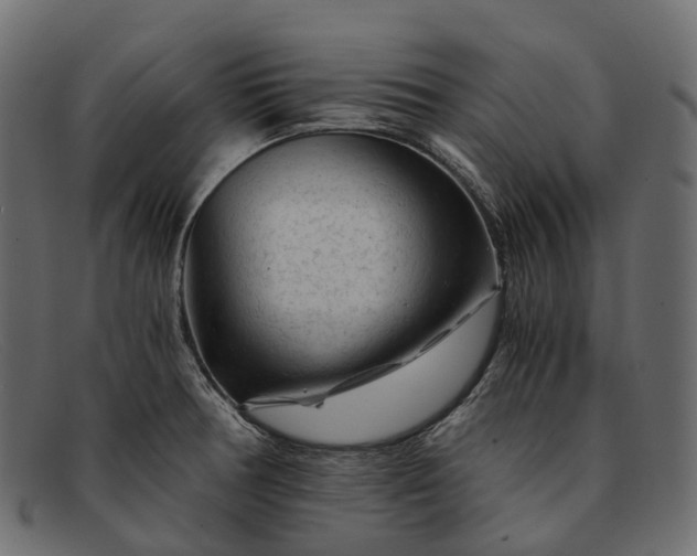 X0000091901378200709191229