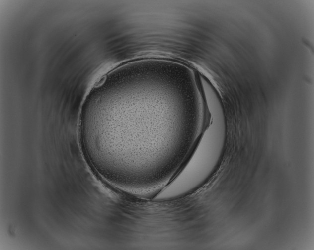 X0000091901379200709191229