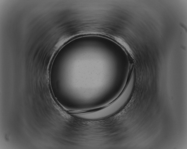 X0000091901380200709191229