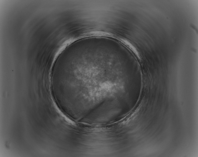 X0000091901381200709191229