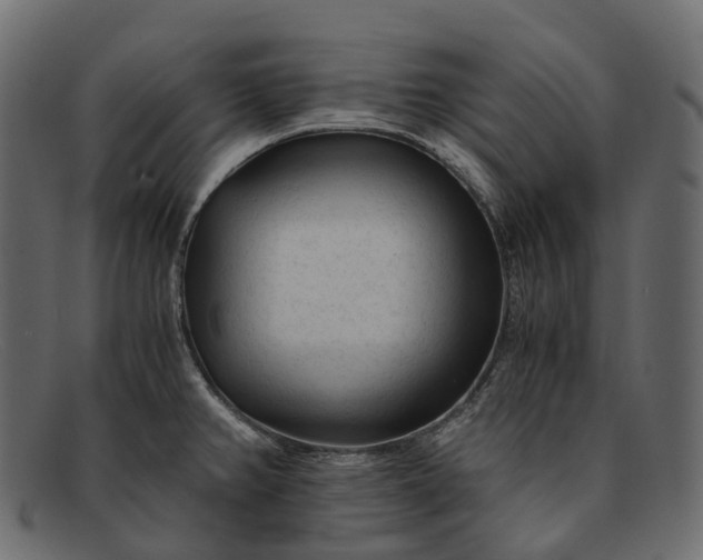 X0000091901382200709191229