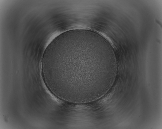 X0000091901383200709191229