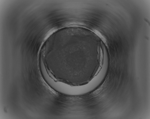 X0000091901384200709191228