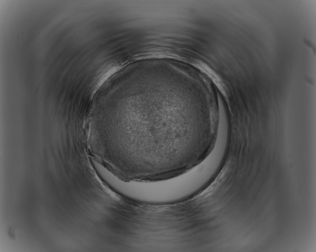 X0000091901385200709191228