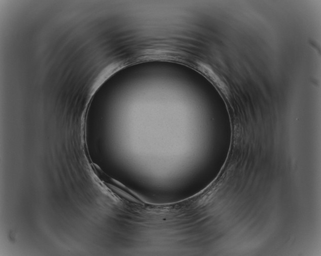 X0000091901386200709191228