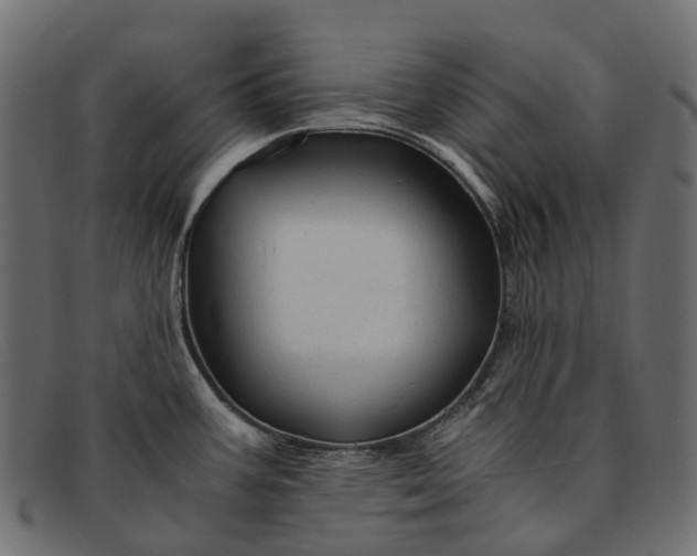 X0000091901387200709191228