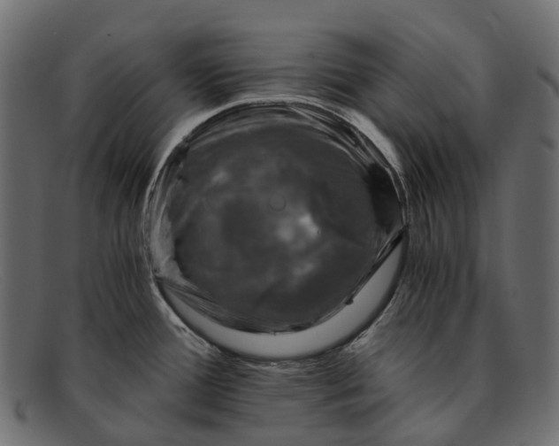 X0000091901388200709191228