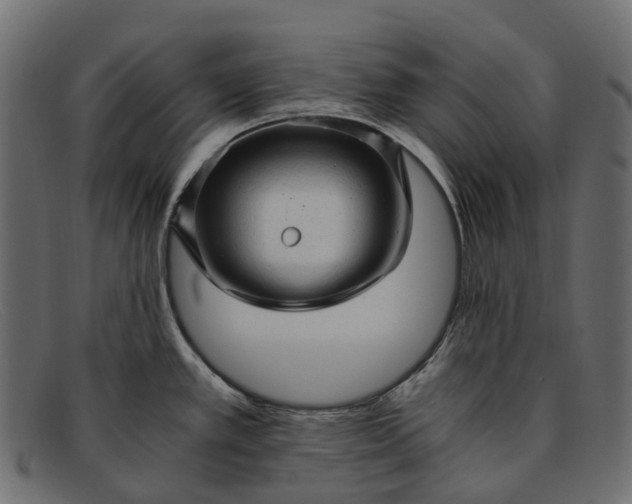 X0000091901389200709191228