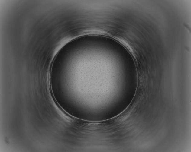 X0000091901391200709191228