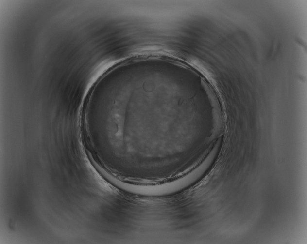 X0000091901392200709191228