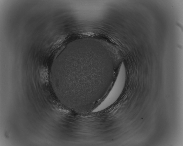 X0000091901394200709191228