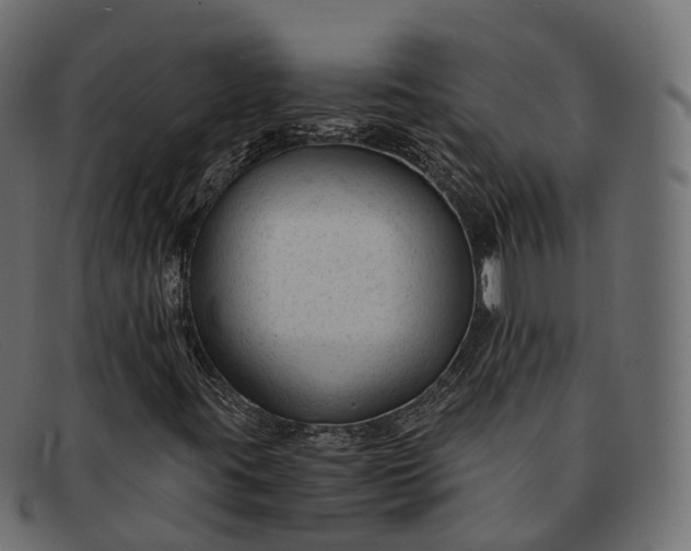 X0000091901395200709191228