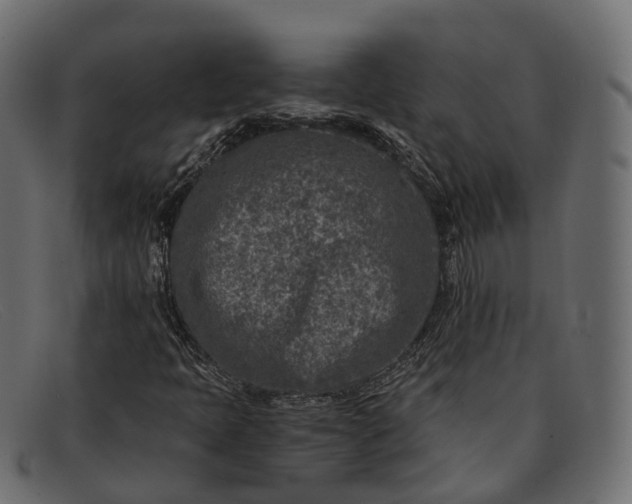 X0000091901397200709191228