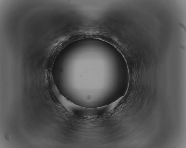 X0000091901398200709191228