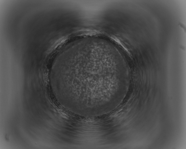 X0000091901399200709191228