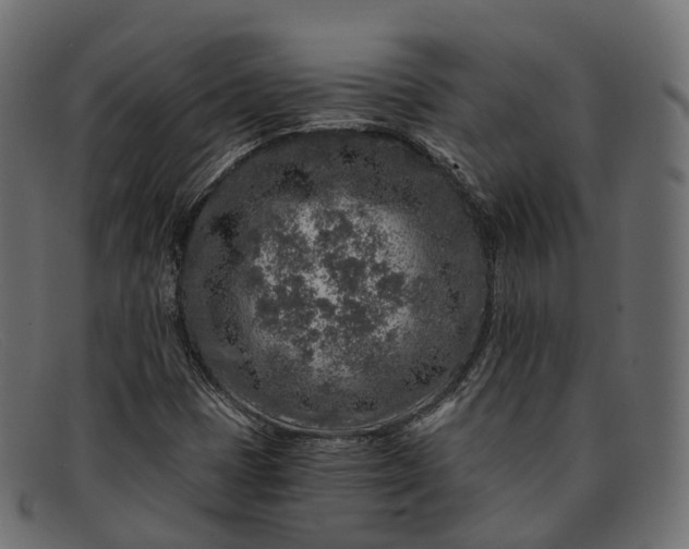 X0000091901401200709191228