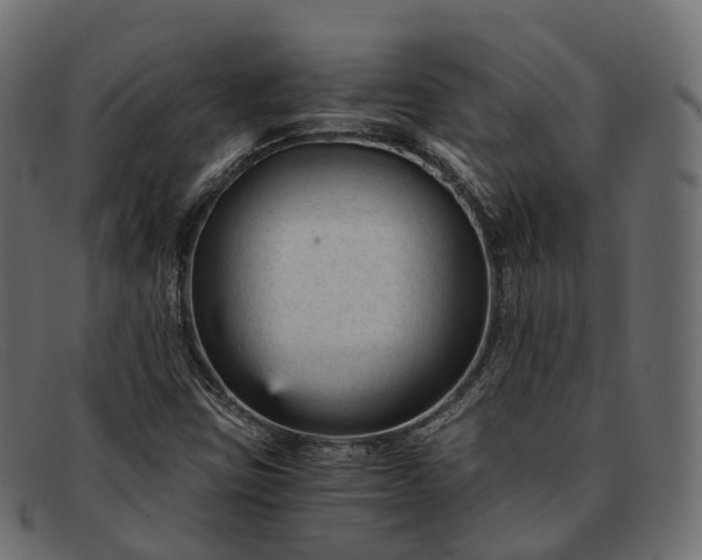 X0000091901403200709191228