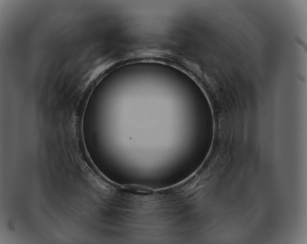 X0000091901404200709191228