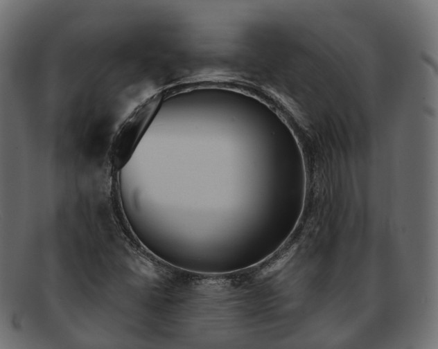 X0000091901406200709191228