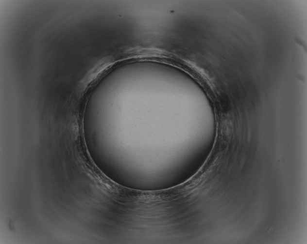 X0000091901407200709191228