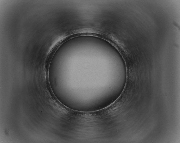 X0000091901408200709191228