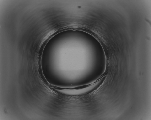 X0000091901410200709191228