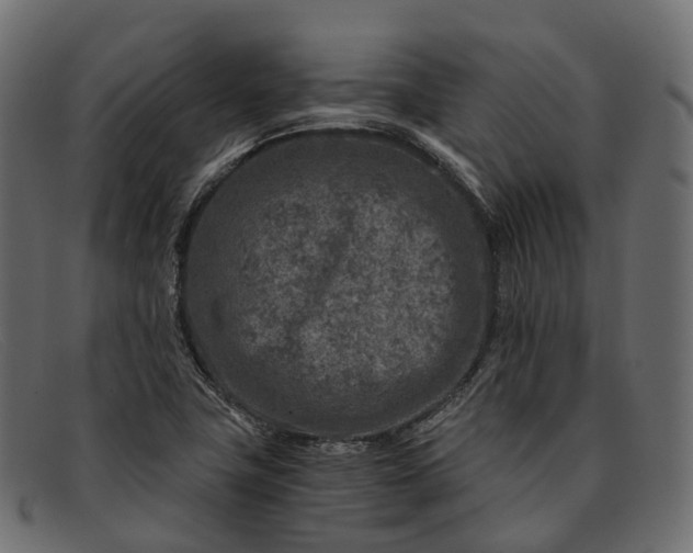 X0000091901411200709191228