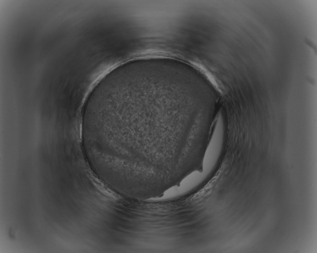 X0000091901413200709191228