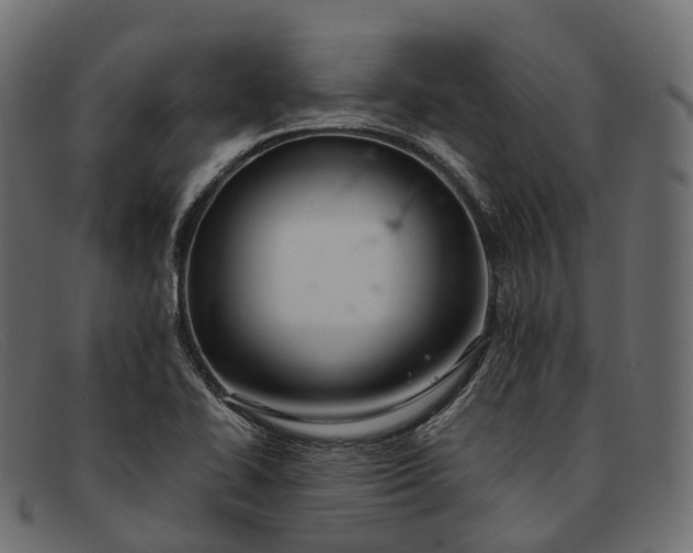 X0000091901414200709191228