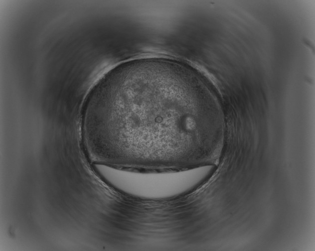 X0000091901415200709191228