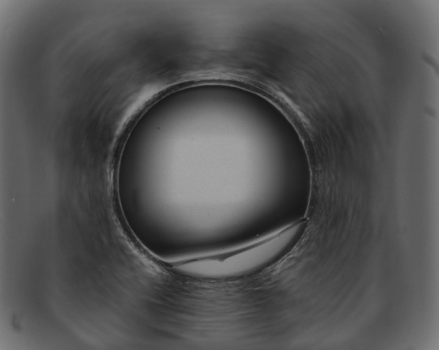 X0000091901416200709191228