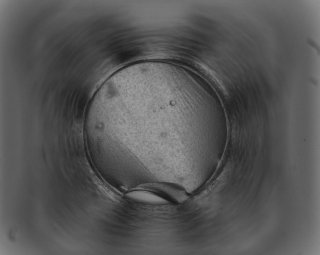 X0000091901417200709191228