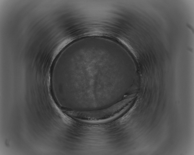 X0000091901418200709191228