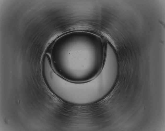 X0000091901419200709191228