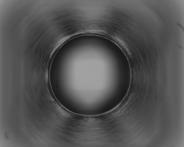 X0000091901420200709191228