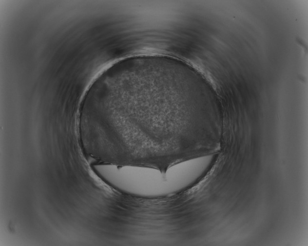 X0000091901421200709191228