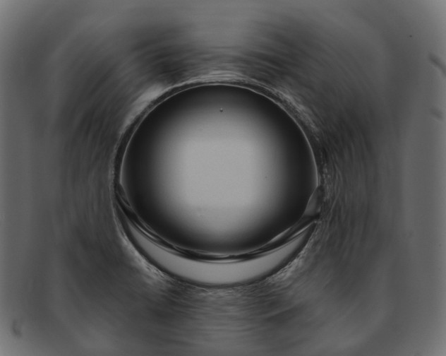 X0000091901422200709191228