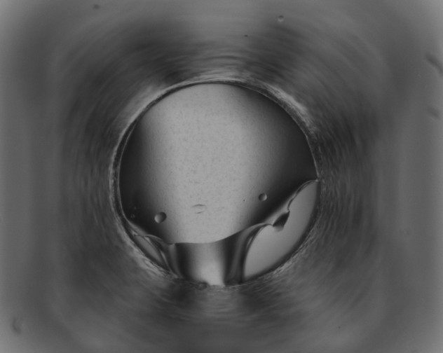 X0000091901423200709191228