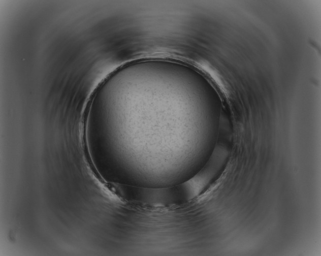 X0000091901424200709191228