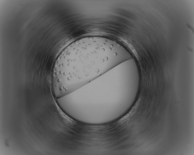 X0000091901425200709191228