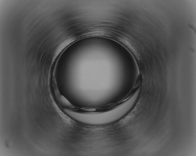 X0000091901426200709191228