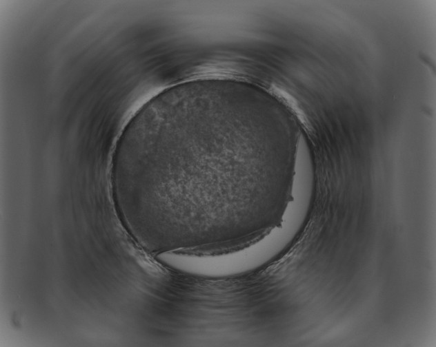 X0000091901427200709191228