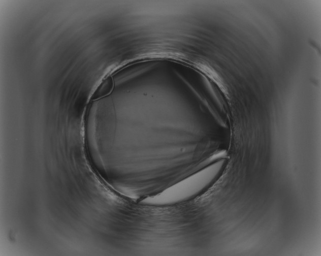 X0000091901428200709191228