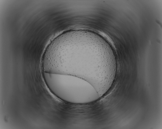 X0000091901429200709191228