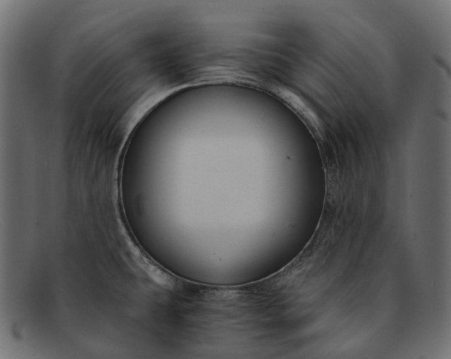 X0000091901431200709191228