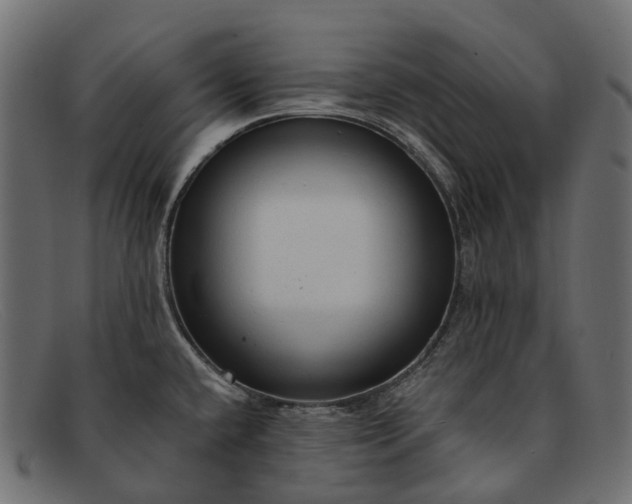 X0000091901432200709191228