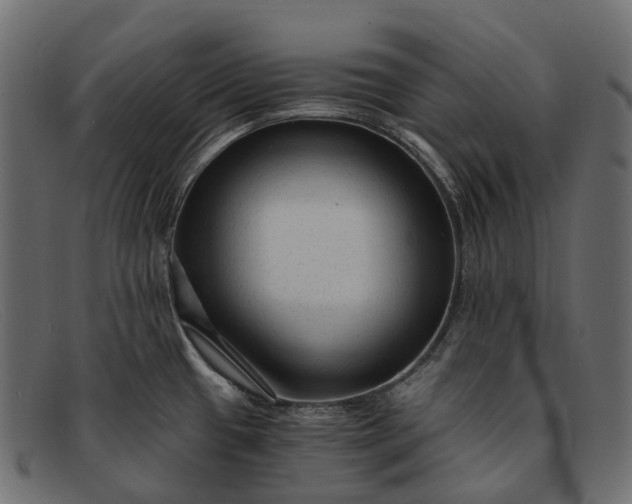 X0000091901433200709191228