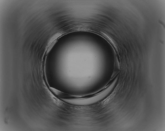 X0000091901434200709191228