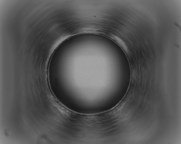 X0000091901435200709191228