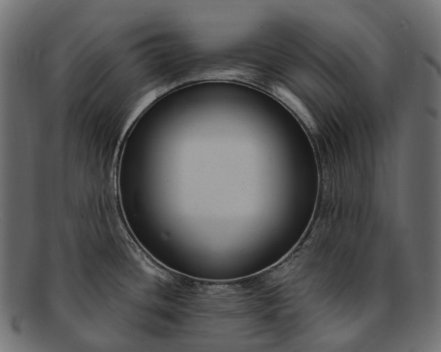 X0000091901436200709191228